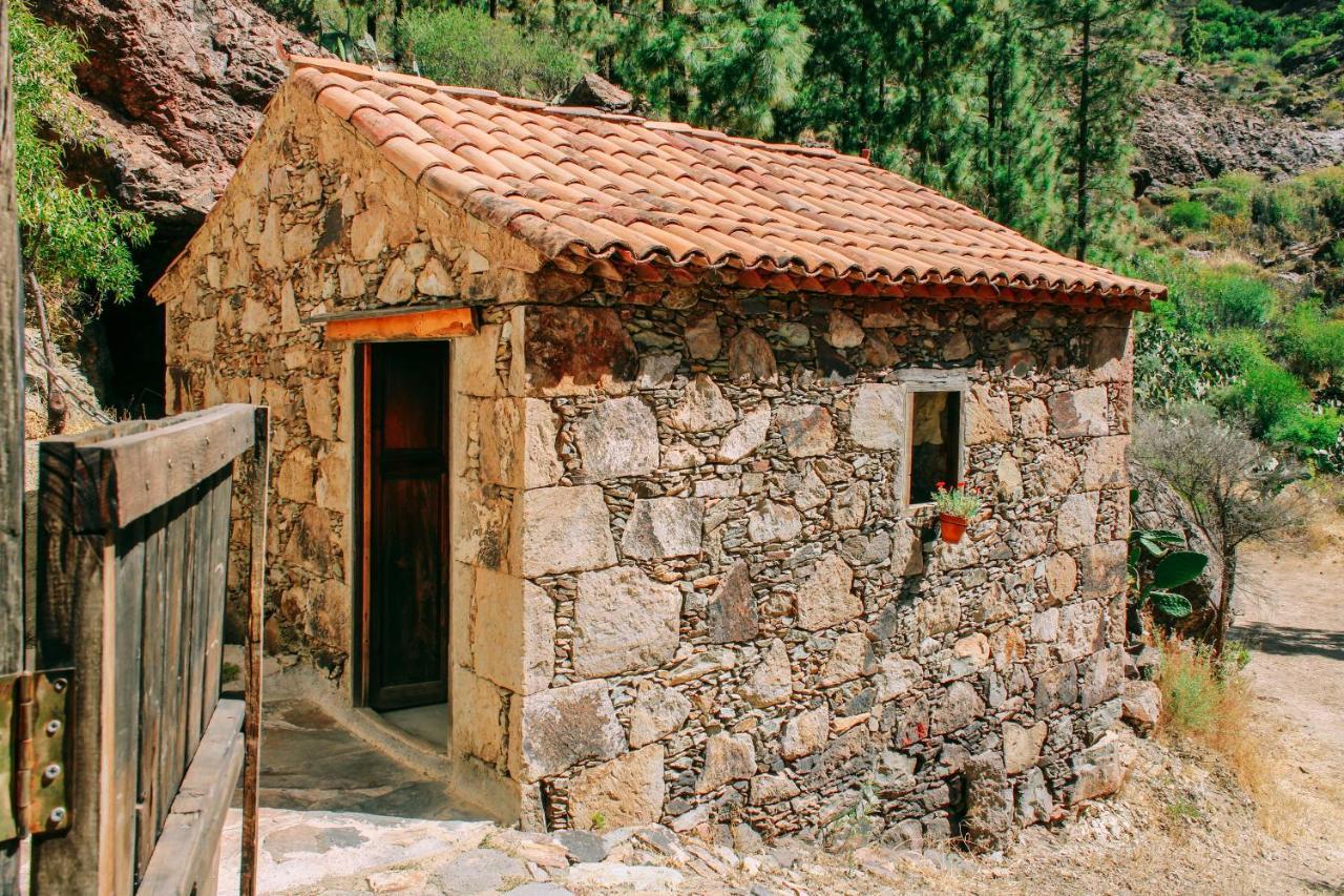Casa Rural Lomito Del Pino Tejeda  Exteriör bild